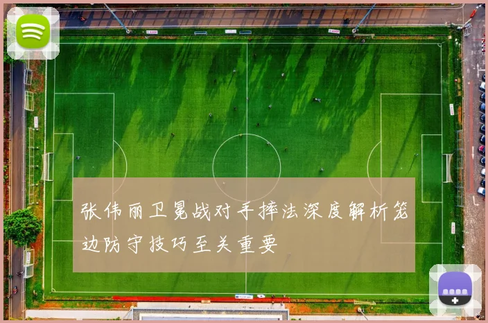 张伟丽卫冕战对手摔法深度解析笼边防守技巧至关重要
