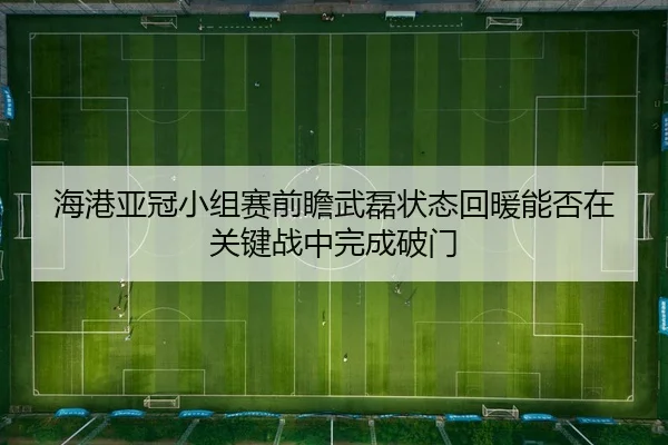 海港亚冠小组赛前瞻武磊状态回暖能否在关键战中完成破门 - JIUZHOUSPORTS